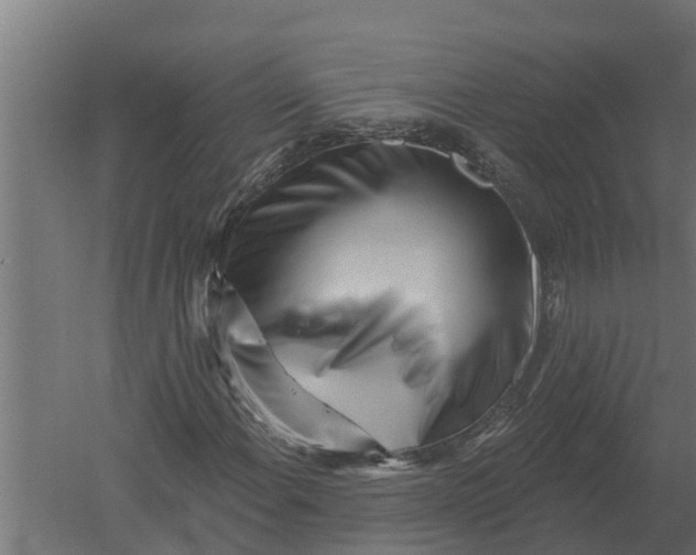 X0000052941108200507300011