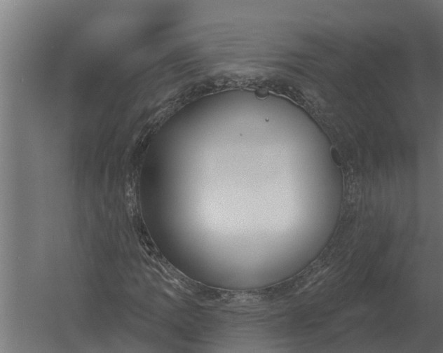 X0000052941109200507300011