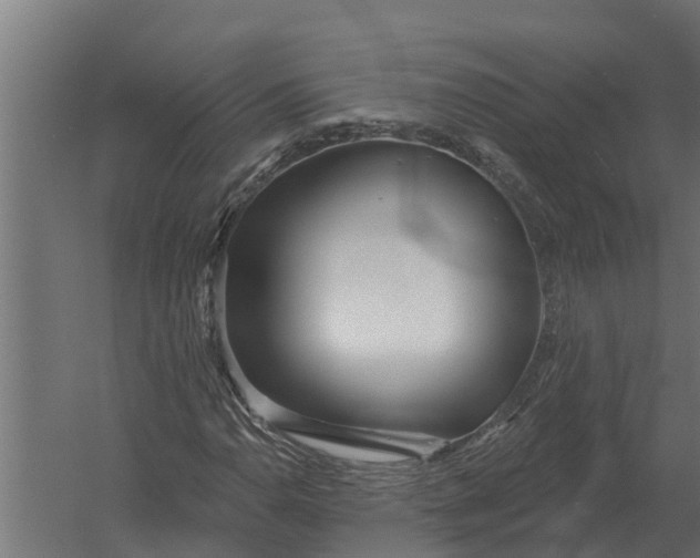 X0000052941110200507300011