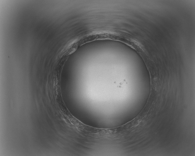 X0000052941111200507300011