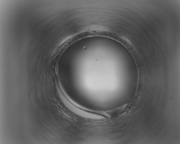 X0000052941112200507300011