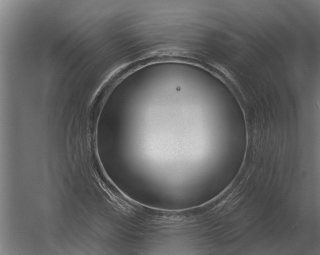 X0000052941115200507300011