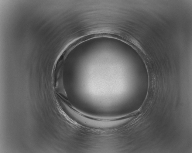 X0000052941116200507300011