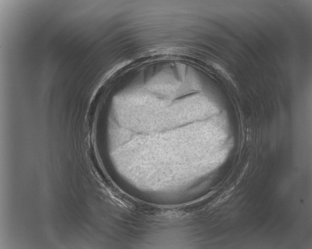 X0000052941117200507300011