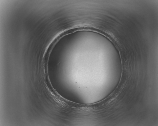 X0000052941118200507300011