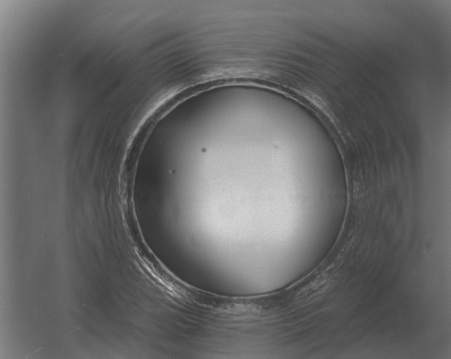 X0000052941119200507300011