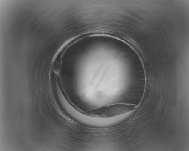 X0000052941120200507300011