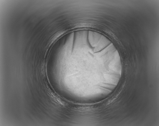 X0000052941121200507300011