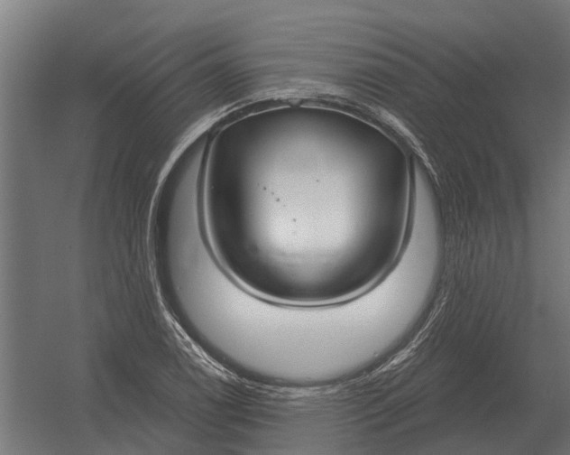 X0000052941122200507300011