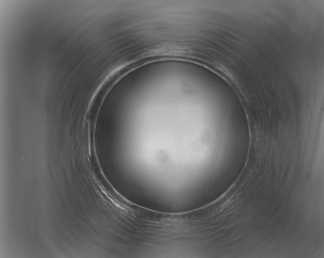 X0000052941123200507300011