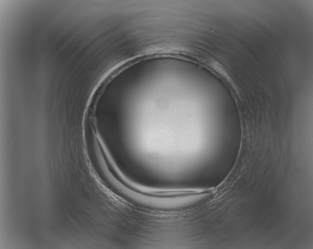 X0000052941124200507300011