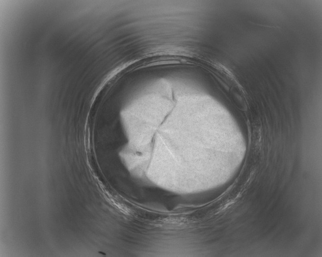 X0000052941125200507300011