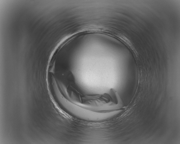 X0000052941128200507300011