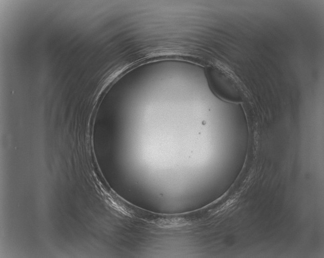 X0000052941129200507300011