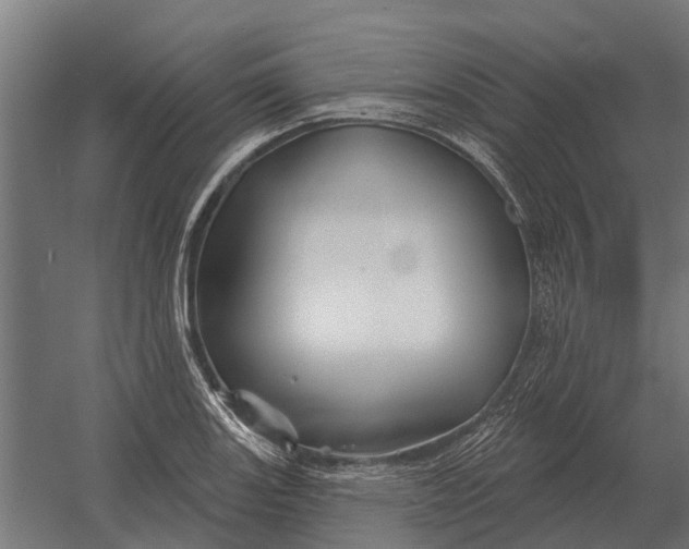 X0000052941131200507300011