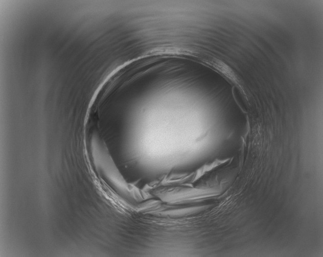 X0000052941132200507300011