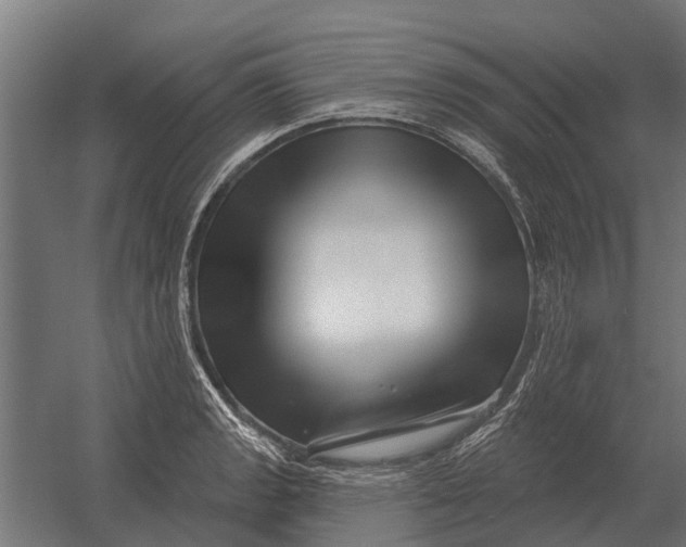 X0000052941133200507300011