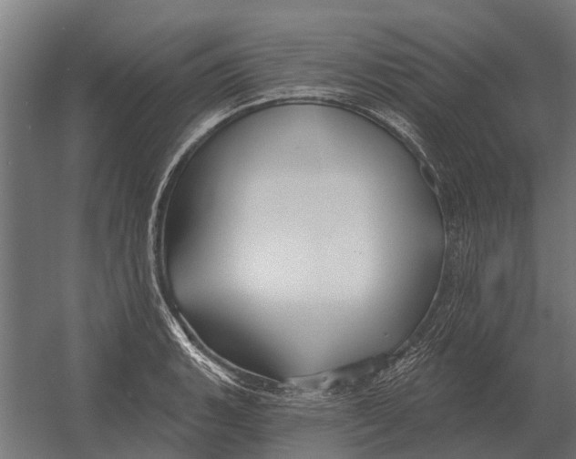 X0000052941135200507300011