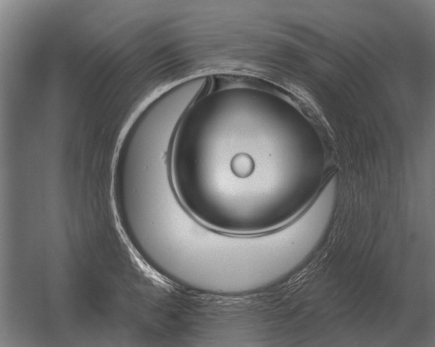 X0000052941136200507300011