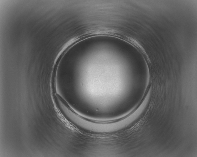 X0000052941138200507300011