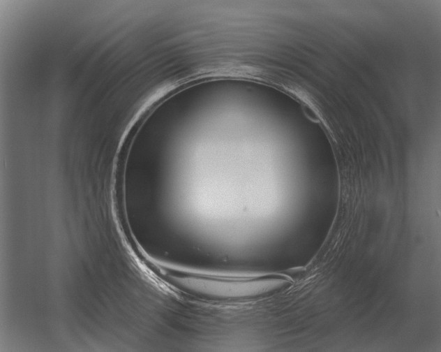 X0000052941139200507300011