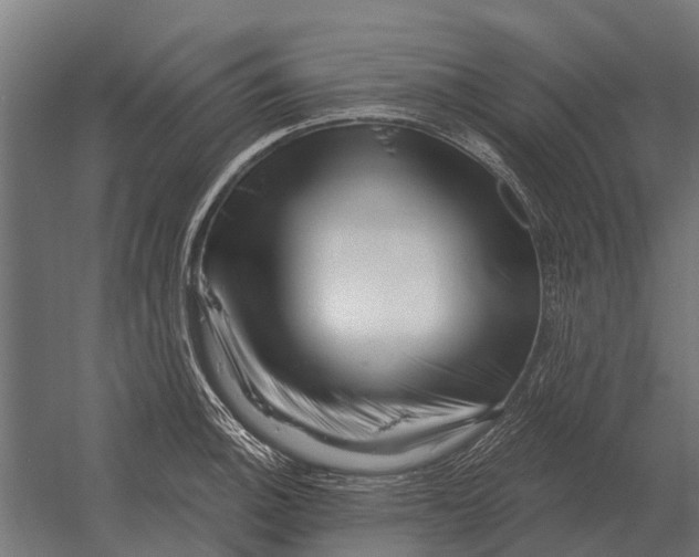 X0000052941140200507300011