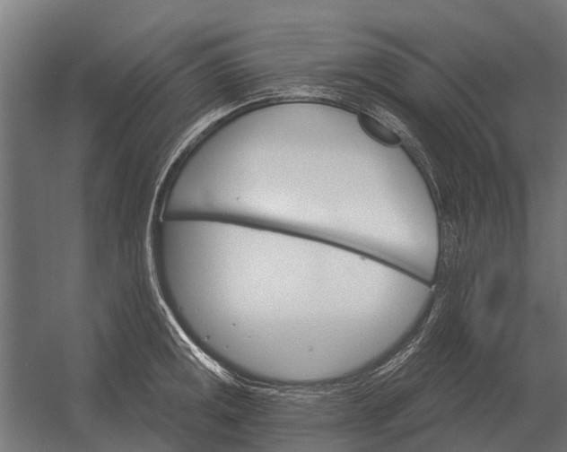 X0000052941141200507300011