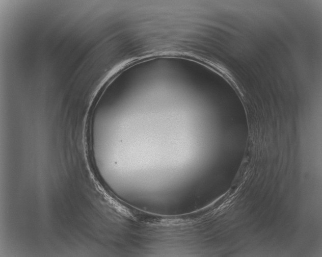 X0000052941142200507300011