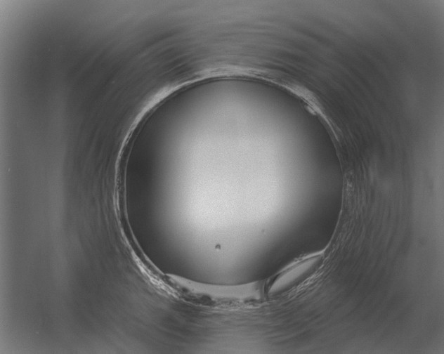 X0000052941143200507300011