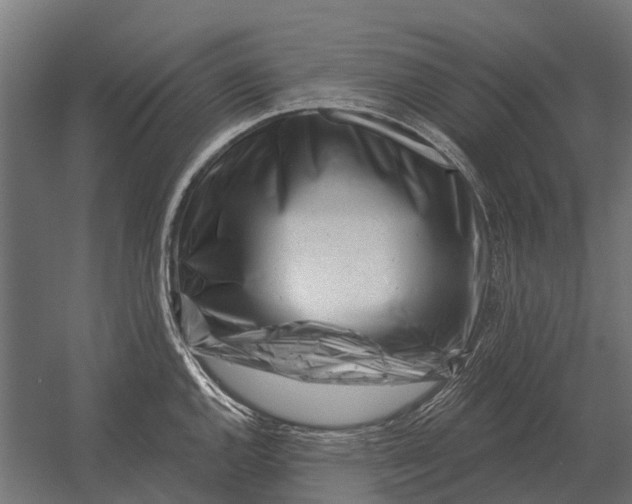 X0000052941144200507300011