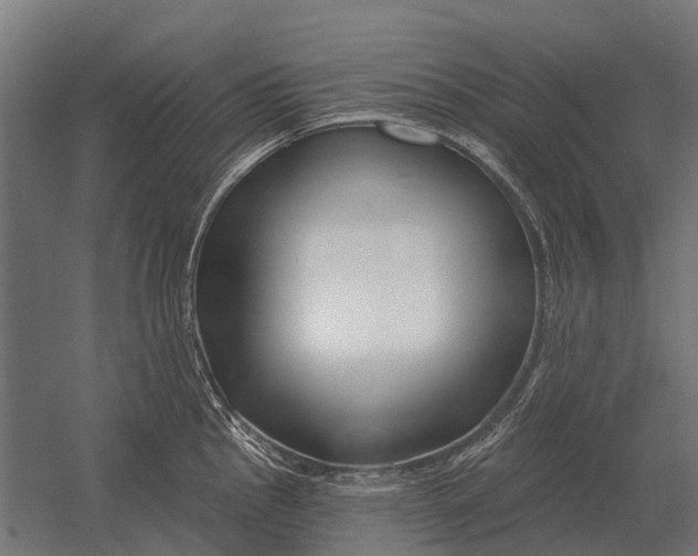 X0000052941145200507300011