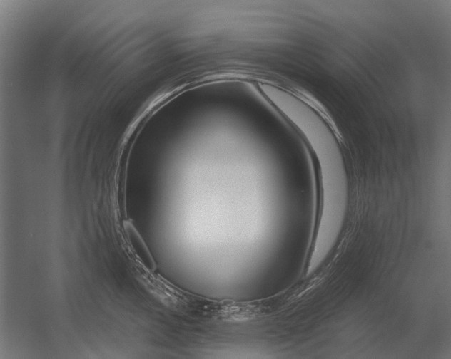 X0000052941146200507300011