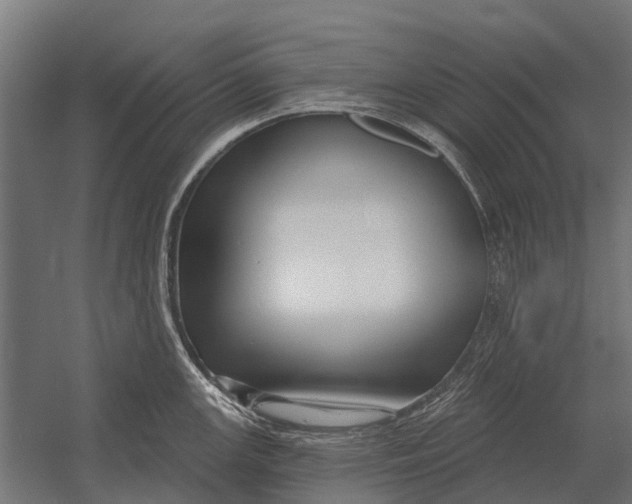 X0000052941147200507300011