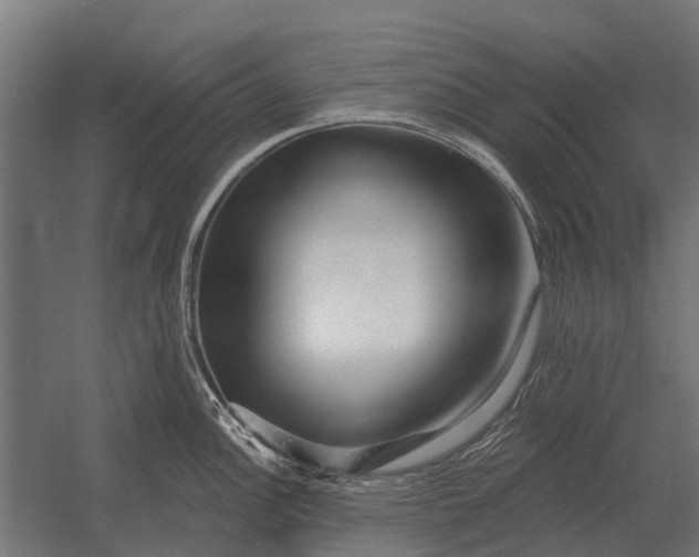 X0000052941148200507300011