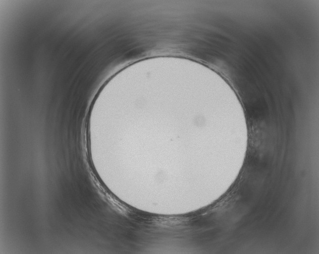 X0000052941150200507300011