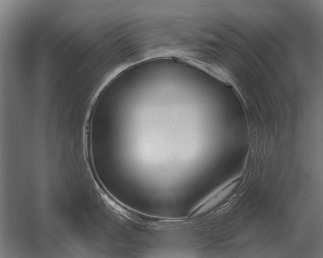 X0000052941151200507300011