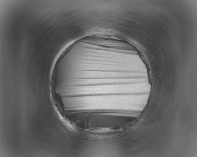 X0000052941152200507300011