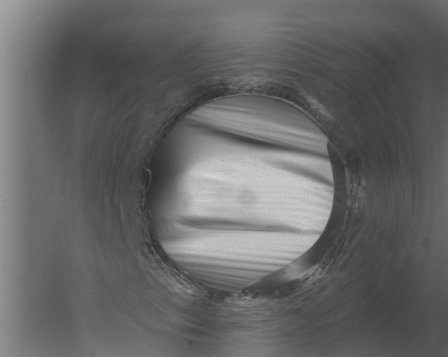 X0000052941153200507300011