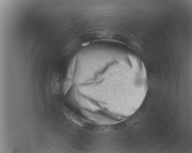 X0000052941154200507300011