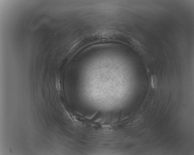 X0000052941155200507300011