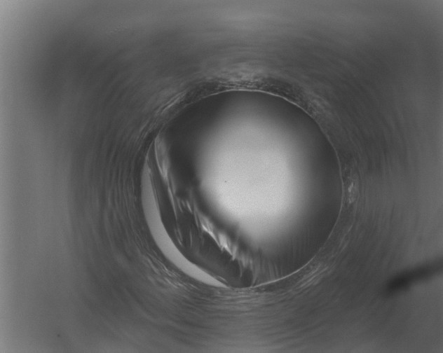 X0000052941156200507300011