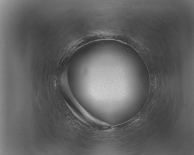 X0000052941157200507300011