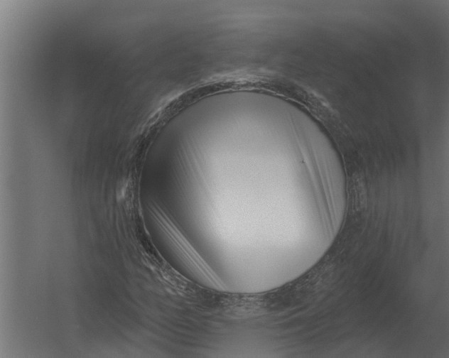 X0000052941158200507300011