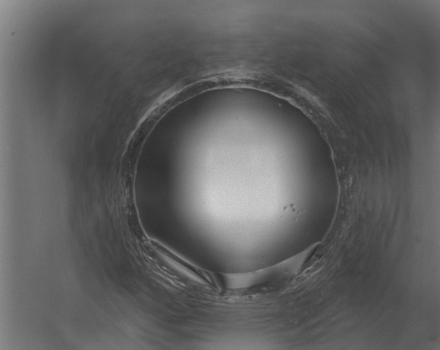 X0000052941160200507300011