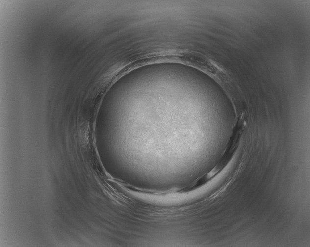 X0000052941161200507300011