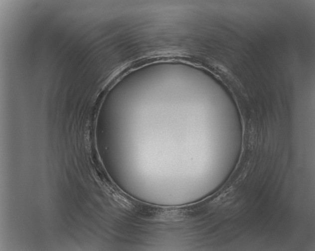 X0000052941162200507300011