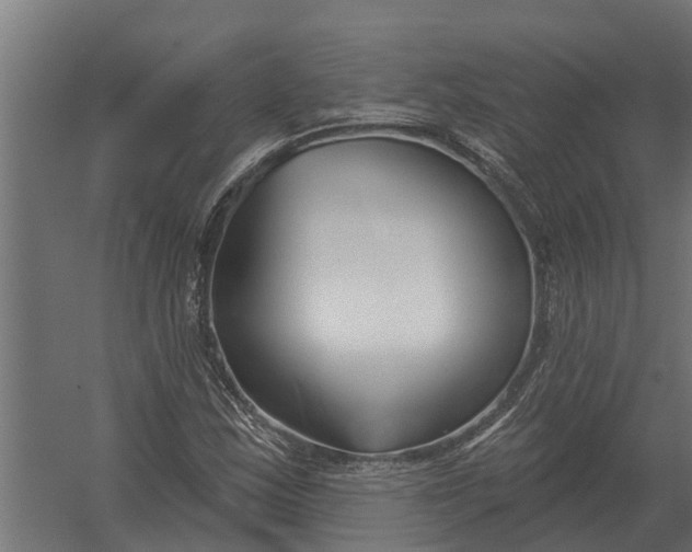 X0000052941163200507300011