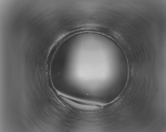 X0000052941164200507300010