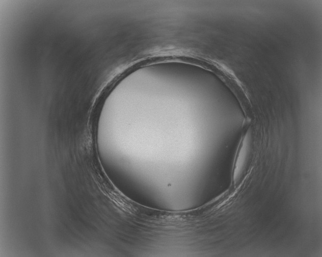 X0000052941167200507300010