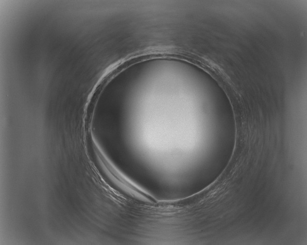 X0000052941168200507300010